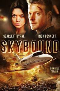 Skybound - Poster