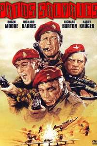 The Wild Geese - Poster