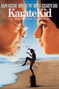 The Karate Kid - Poster