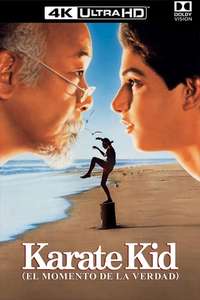 The Karate Kid - Poster
