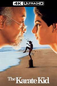 The Karate Kid - Poster