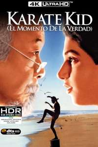The Karate Kid - Poster