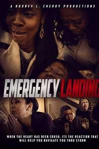 Emergency Landing - Poster