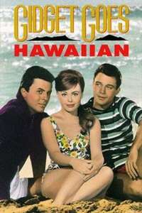 Gidget Goes Hawaiian - Posters