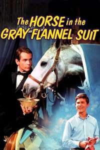 The Horse in the Gray Flannel Suit - Posters