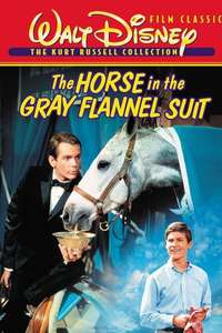The Horse in the Gray Flannel Suit - Posters