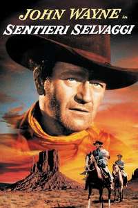 The Searchers - Poster