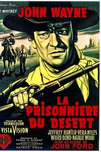 The Searchers - Poster