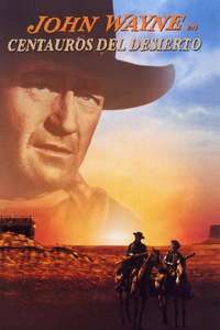 The Searchers - Poster