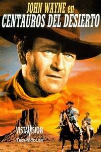 The Searchers - Poster
