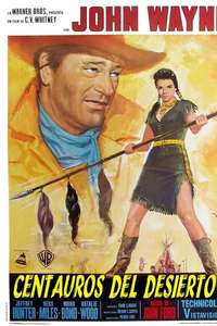 The Searchers - Poster