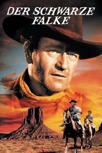 The Searchers - Poster