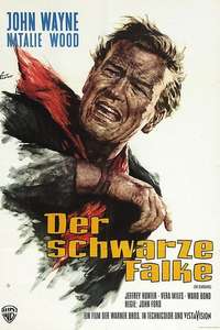 The Searchers - Poster