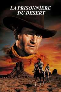 The Searchers - Poster