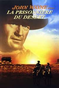 The Searchers - Poster