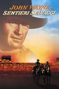 The Searchers - Poster