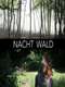 Nacht Wald