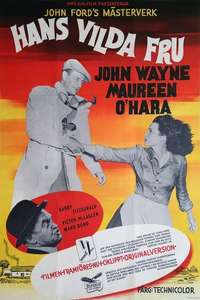 The Quiet Man - Poster