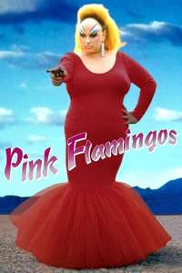 Pink Flamingos - Poster