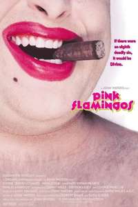 Pink Flamingos - Poster