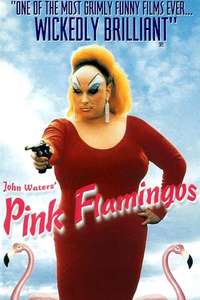 Pink Flamingos - Poster