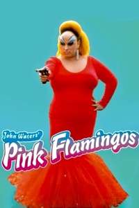 Pink Flamingos - Poster