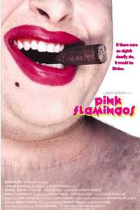 Pink Flamingos - Poster