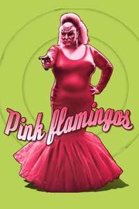 Pink Flamingos - Poster
