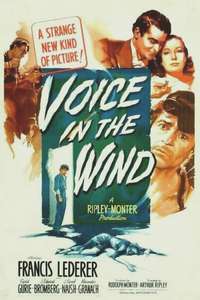 Voice in the Wind - Poster