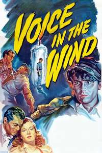 Voice in the Wind - Poster