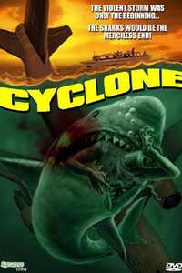Cyclone - Poster