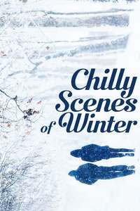Chilly Scenes of Winter - Poster