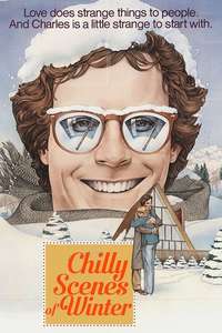 Chilly Scenes of Winter - Poster