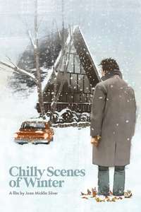 Chilly Scenes of Winter - Poster