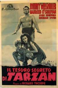 Tarzan's Secret Treasure - Poster