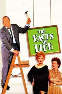 The Facts of Life - Posters