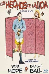 The Facts of Life - Posters