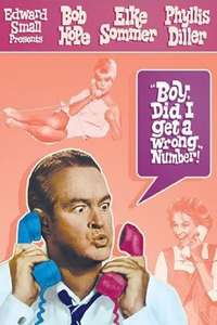 Boy  Did I Get a Wrong Number! - Poster