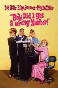 Boy  Did I Get a Wrong Number! - Poster