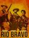 Rio Bravo