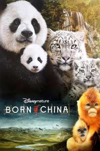 Born in China - Posters