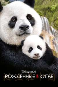 Born in China - Posters