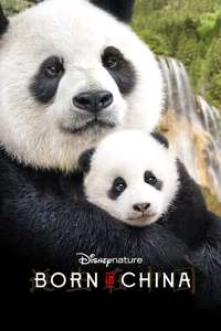 Born in China - Posters
