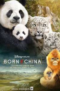 Born in China - Posters
