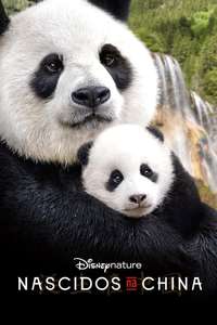 Born in China - Posters