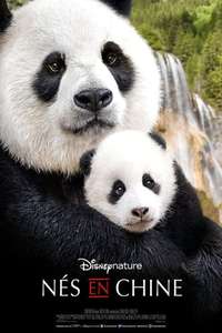 Born in China - Posters