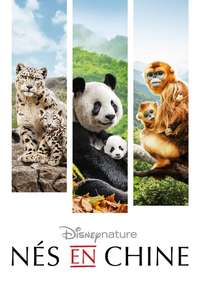 Born in China - Posters