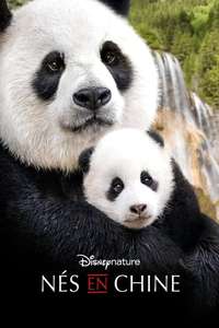 Born in China - Posters