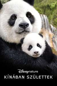 Born in China - Posters