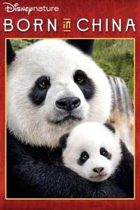 Born in China - Posters